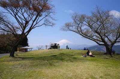 【丹沢】谷峨駅～大野山～山北駅　春の日帰り登山