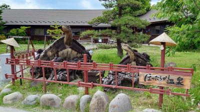 2022年6月　山梨・石和・甲府旅行♪さくらんぼ狩り♪温泉♪旅行先でも野球観戦♪