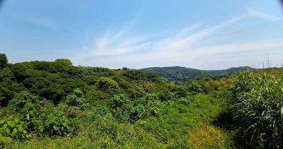 鎌倉の秘境・台峰緑地ハイキングと稲村ヶ崎温泉