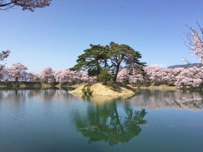 花の伊那　六道の堤　伊那公園