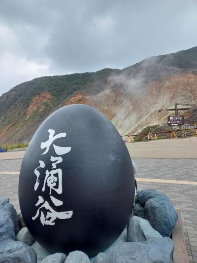 母&amp;娘・箱根二人思い出旅①