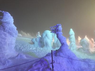 蔵王で初めて樹氷のライトアップを鑑賞、綺麗だけどとんでもなく寒かった＝2022年１月