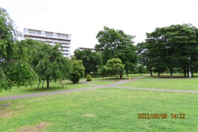 福岡中央公園の風景