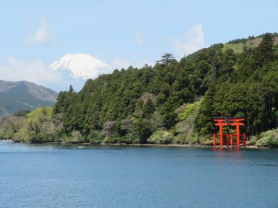 マドンナ（聖母）たちの箱根（XIV箱根離宮＆箱根神社＆大涌谷）