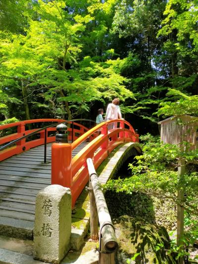 6月青もみじを観に行くゆったり京都旅行