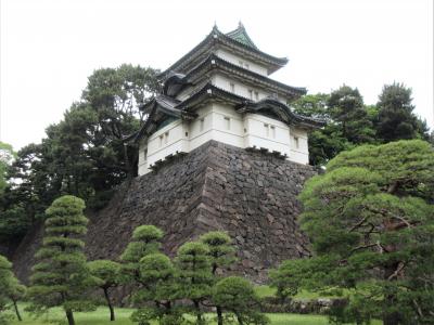 富士見櫓は天守の代り★皇居一般参観★2022年6月
