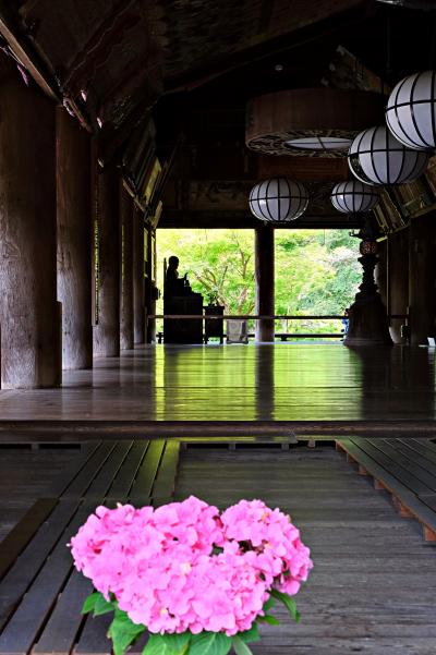 古寺に彩りを添える"紫陽花階段"が見たくて『長谷寺』へ♪