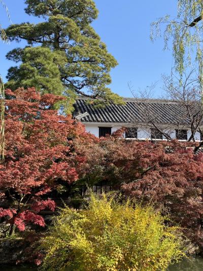 何回行っても新しい発見のある倉敷美観地区