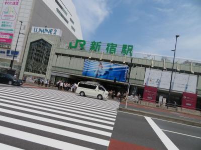 ロマンスカーで箱根（１）湘南新宿ラインで新宿へ