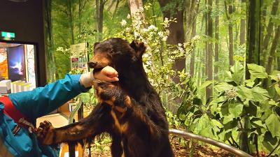 ふだん着の休日 今日で山から下りますよ _4