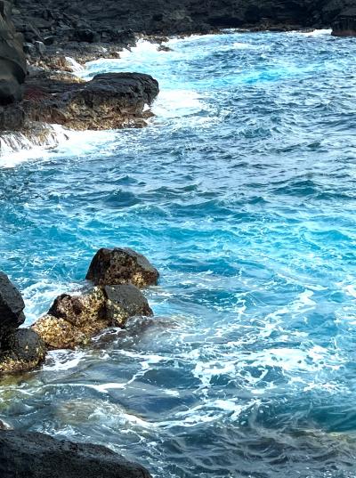 絶海の離島 &quot;八丈島″ ゆったり遊び ② 八丈植物公園・南原千畳岩海岸