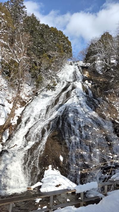 ふだん着の休日 ぜんぜん春遠し -2