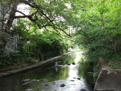 フラッと三島散策 1日目・水辺を楽しむ