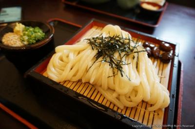 名古屋から香川県　１泊２日　「さぬきうどん」と「たこ判」を食べる旅