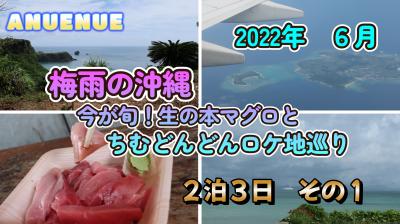 2022年6月　梅雨の沖縄　今が旬！生の本マグロとちむどんどんのロケ地巡り　２泊３日　その１