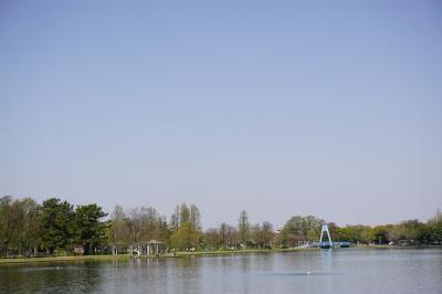 都内・水元公園さんぽ 異国な景色に大感動