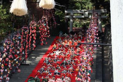 2022年３月　河津桜桜祭りと稲取素盞嗚神社の日本一の雛段飾りを見に時之栖前泊して行ってきました