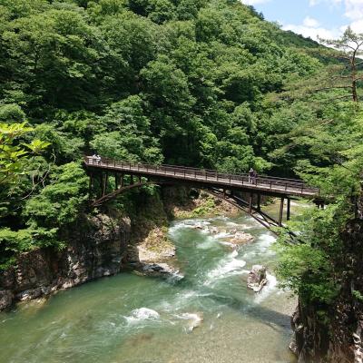 栃木の旅　龍王峡とSL大樹
