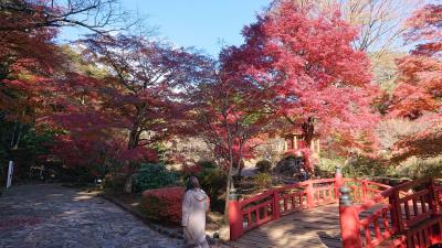 1泊2日 熱海 (2-1) 紅葉の熱海梅園と復活を遂げた温泉街