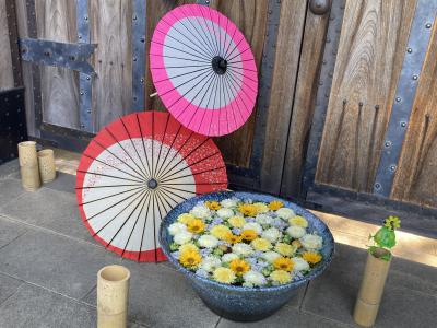 行田花手水ライトアップ-1☆忍城・行田八幡神社・ぷらっと♪ぎょうだ・レストランミヨシ　花手水プレート