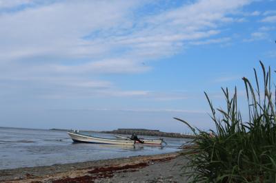 利尻島・礼文島の花々を満喫する旅　4日間　　　No1