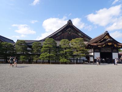 週末は新緑の京都へ・・二条城そして宿泊は御宿野乃京都七条。