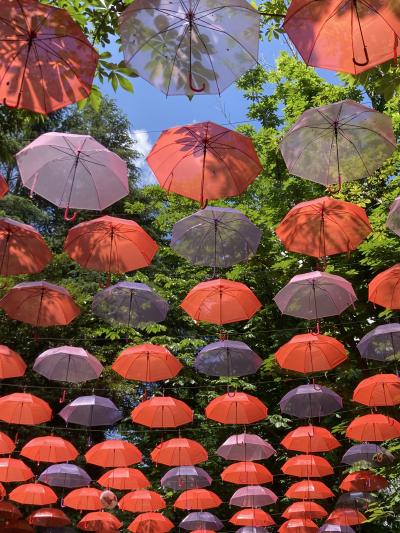 埼玉の、行きたかった三か所巡りのバスの旅。