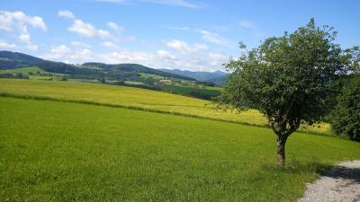 ウイーン近郊のハイキング A.9 Kreisbach駅からOchsenburgerHuette(****)
