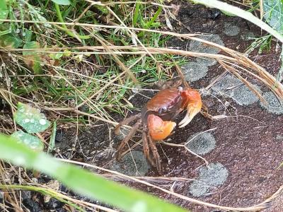 福岡神社巡りと糸島、佐賀