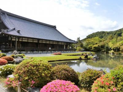 京のお散歩　　20　　旧邸御室～竹林の小径～天龍寺