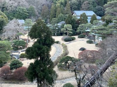 沼津漁港　双葉寿司～伊豆長岡温泉 三養荘　宿泊