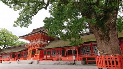 3泊4日 大分 (11-9) 由布院温泉 湯布院ほてい屋の夕食と八幡社の総本宮 宇佐神宮