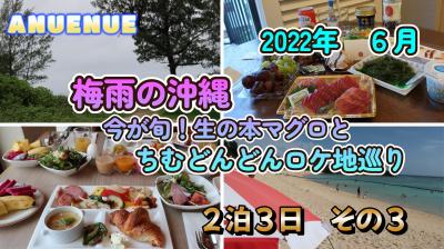 2022年6月　梅雨の沖縄　今が旬！生の本マグロとちむどんどんのロケ地巡り　２泊３日　その３