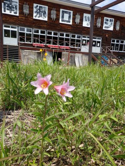 南会津1泊2日＿ひめさゆり、道の駅きらら289、南泉寺の楼門