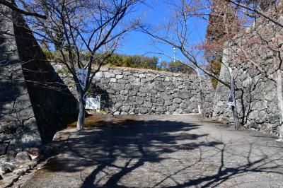 三重県：松坂城、田丸城、浜田城、赤堀城（その1）