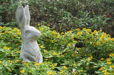 My Favorite 東京 VOL.2