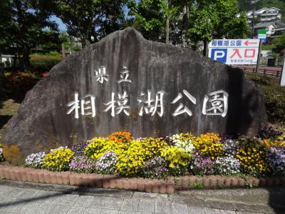 相模湖&石和日帰り旅・その1.相模湖の嵐山プチ登山