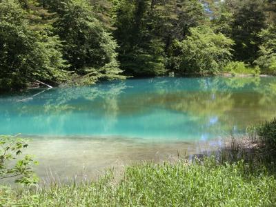 初夏の裏磐梯へ。②五色沼をテクテク。