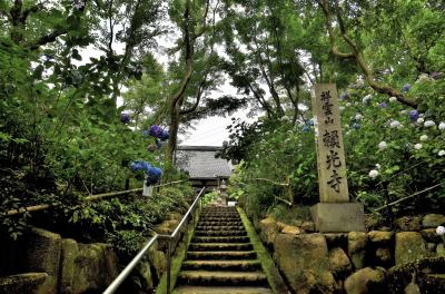 問柳尋花 北摂川西＜前編＞祥雲山 頼光寺