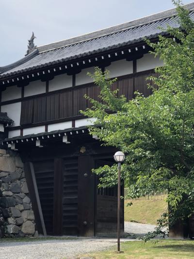 郡山城跡の途中　アジサイ寺矢田寺に