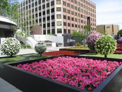 くまもと花とみどりの博覧会 （あなたはどんな花壇がお好き？）