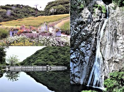 ２０２２年６月  神戸布引ハーブ園から布引貯水池五本松堰堤、布引の滝、新神戸駅へ歩きます！