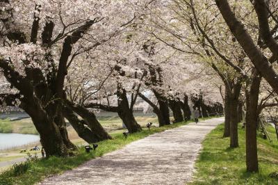 福井旅行記～2022 福井市編～その1