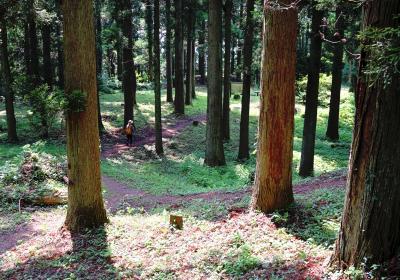 五箇山と富山の城めぐり