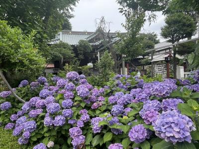 白山神社