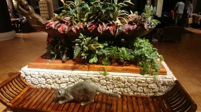 2020-2021年末年始四姉妹子連れ旅行⭐︎西表島石垣島星野リゾートインターコンチネンタル石垣