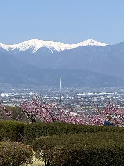 亡き義父との思い出を巡って春の山梨へドライブ