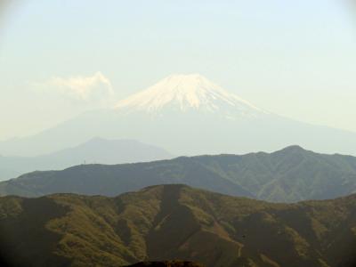 2022GW　新緑が美しい！御岳山から大岳山ハイキング