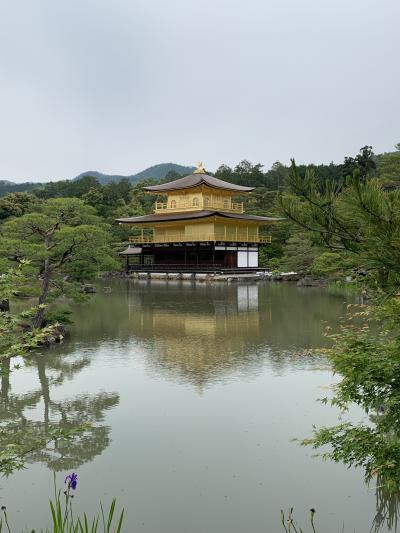 春の京都で基本の観光とパンを楽しむ旅　1日目