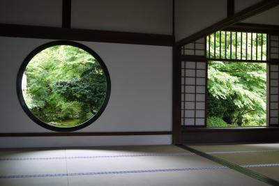 梅雨ですが、青もみじを見に「そうだ！京都、行こう。」